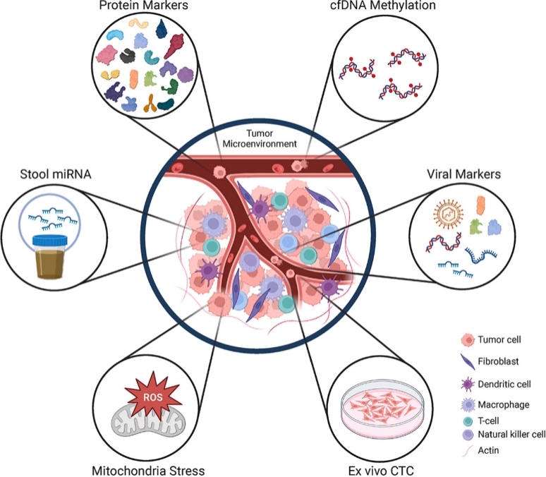 Molecular biomarker for cancer (Chang et al., 2025)
