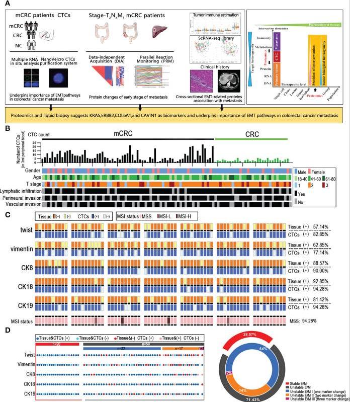 Techniques for the analysis of proteins in liver metastases from colorectal cancer(Huang et al., 2022)