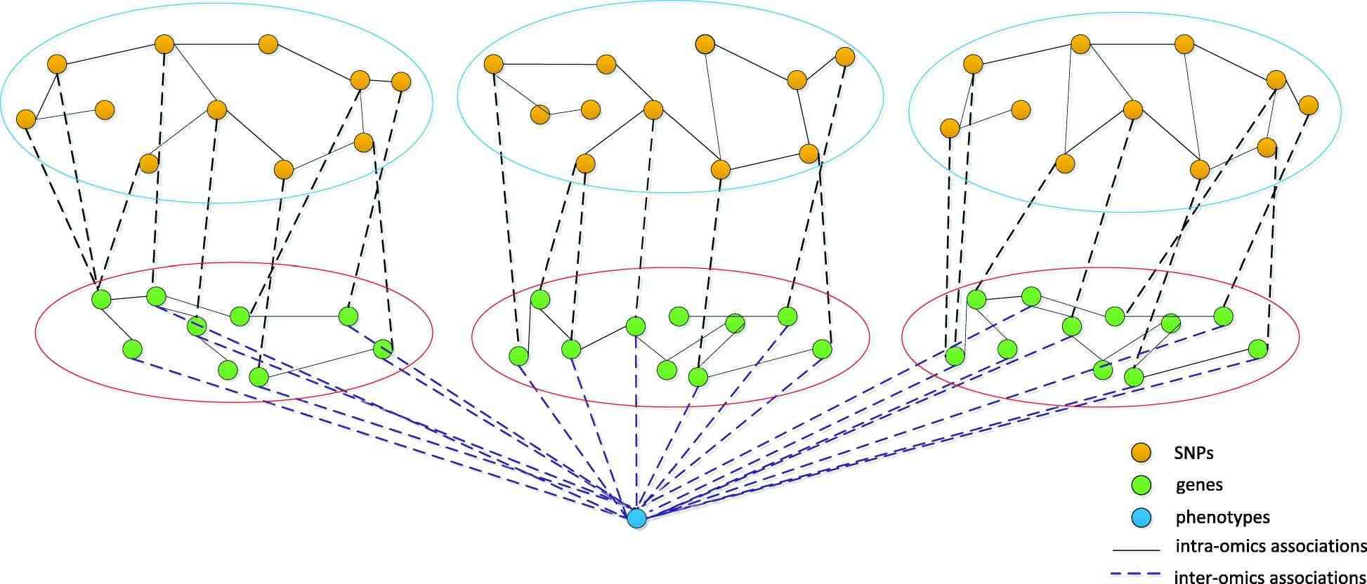 Genomic-phenomic landscape integration framework through multimodal data convergence (Guo et al., 2021)
